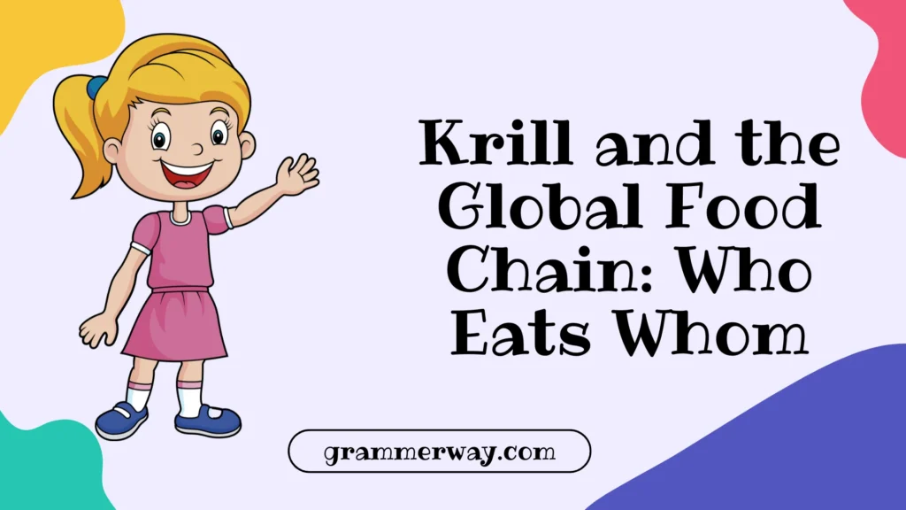 Krill and the Global Food Chain: Who Eats Whom
