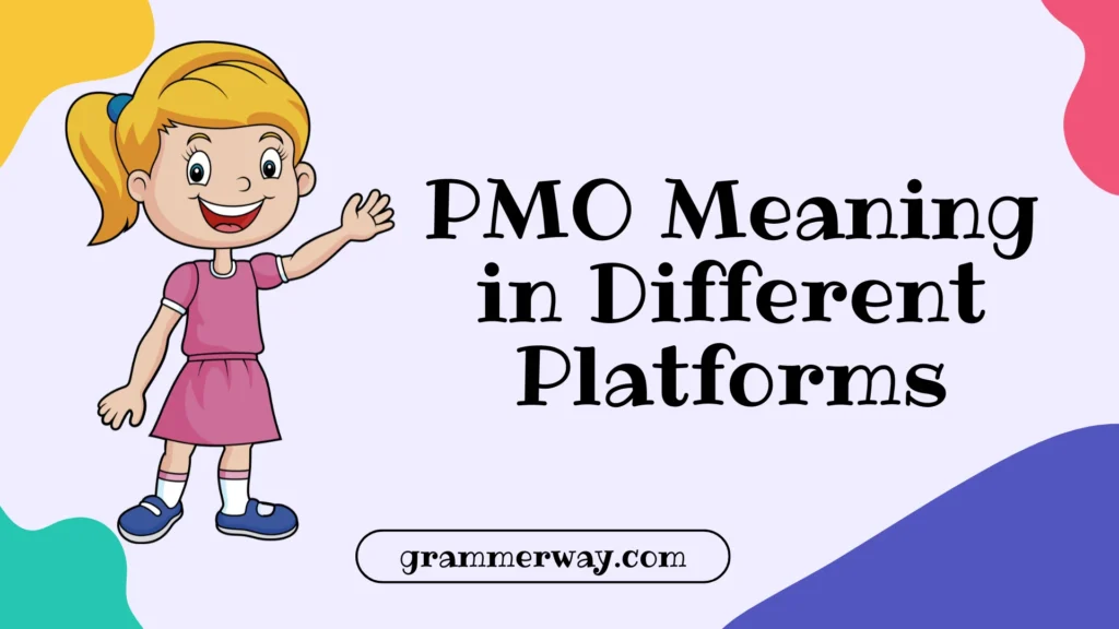 PMO Meaning in Different Platforms