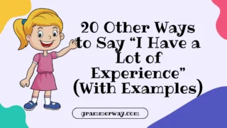 20 Other Ways to Say “I Have a Lot of Experience” (With Examples)
