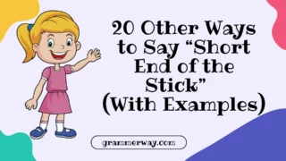 20 Other Ways to Say “Short End of the Stick” (With Examples)