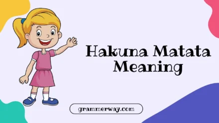 Hakuna Matata Meaning in English: Deep Dive Into Its Origin and Usage