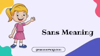 Sans Meaning: A Deep Dive into the Word and Its Origins