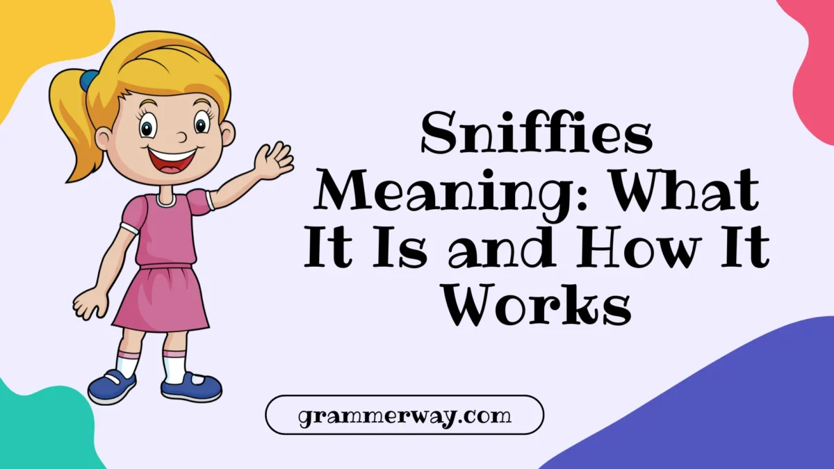 Sniffies Meaning: What It Is and How It Works