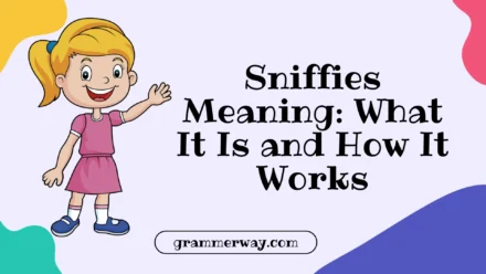 Sniffies Meaning: What It Is and How It Works