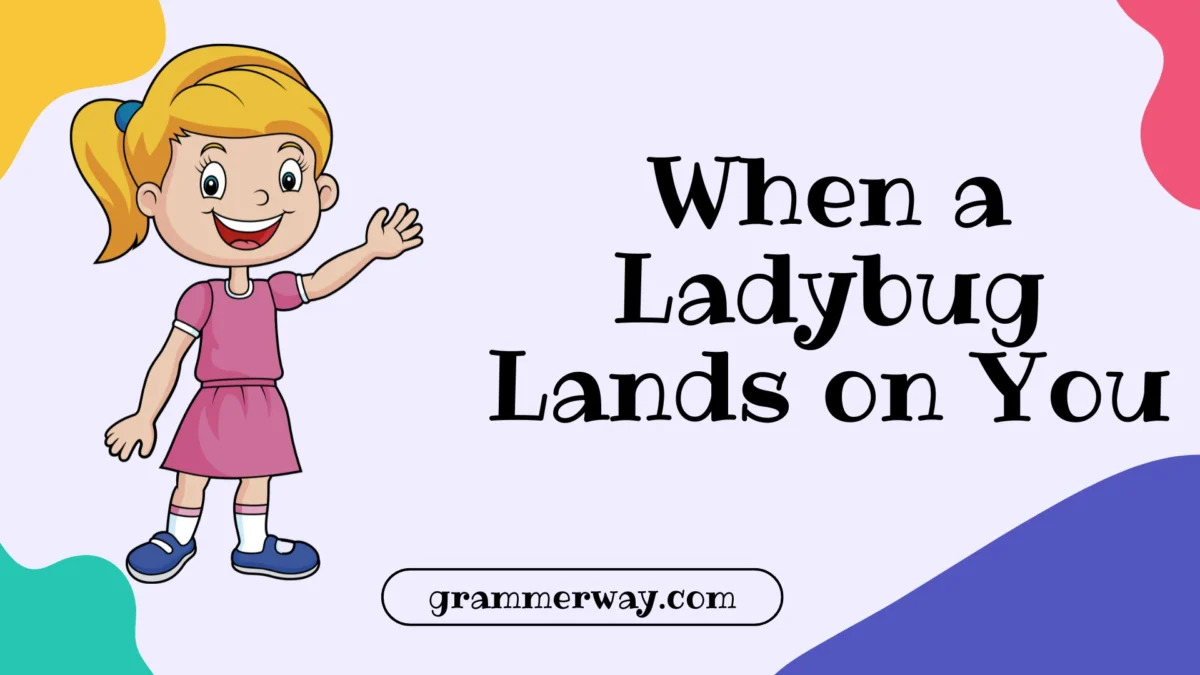 What Does It Mean When a Ladybug Lands on You