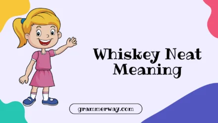 Whiskey Neat Meaning: The Full Story You Actually Need