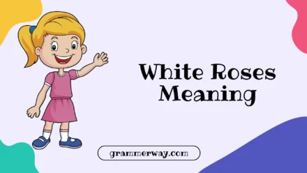 White Roses Meaning: Symbolism, Occasions, Culture, and Hidden Messages