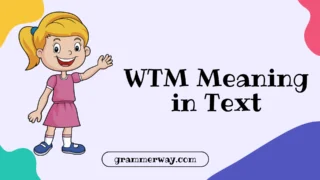 WTM Meaning in Text: What It Really Means