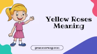 Yellow Roses Meaning: A Complete Guide to Symbolism