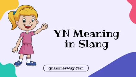YN Meaning in Slang: What It Really Means (Explained With Examples)