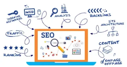 How to Choose the Best SEO Expert in India for Your Business Growth