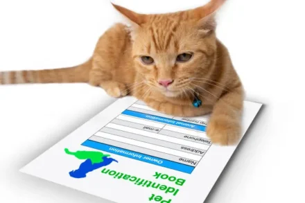 Understanding ESA Cat Registration and Letters