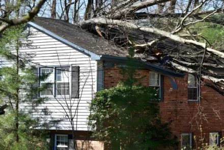 How Skilled Roofers Manage Storm Damage Repair Projects across Willoughby