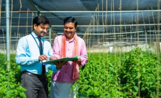 Transforming Farms: Expert Insights from Top Agricultural Consultants