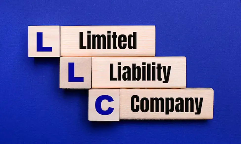 Is Delaware the Best State to Start an LLC? Pros & Cons