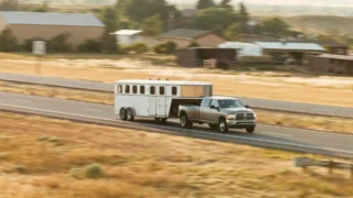 Why Safe Livestock Transport Starts With the Right Trailer