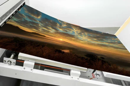 Top Tips for Efficient and High-Quality Printing on the Gold Coast