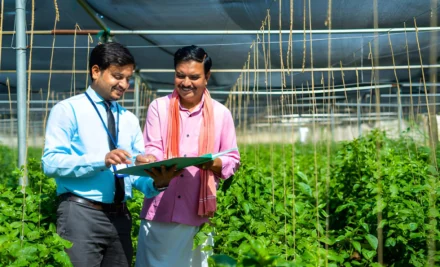 Transforming Farms: Expert Insights from Top Agricultural Consultants