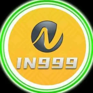 IN999 Login: Quick Solutions for Account Access