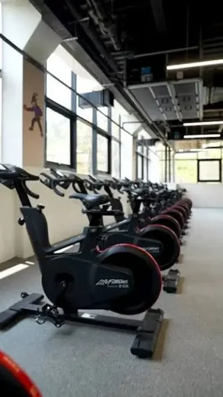 Life Fitness: Revolutionizing Wellness and Exercise Solutions