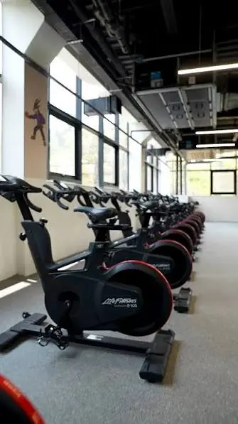 Life Fitness: Revolutionizing Wellness and Exercise Solutions