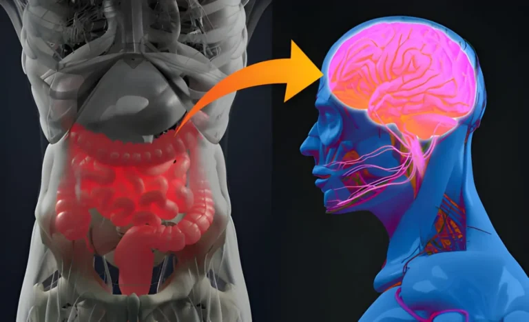 The Gut-Brain Connection: How Stress Can Affect Digestion and Recovery