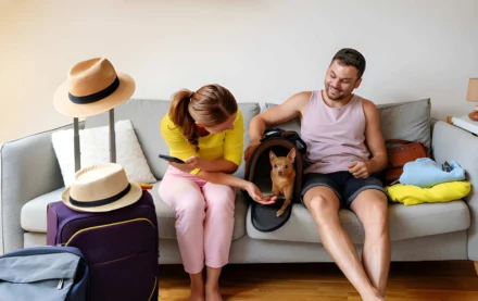 Top Tips for Finding the Best Pet-Friendly Accommodation in Adelaide