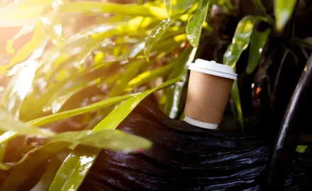 Eco-Friendly Innovations in Takeaway Coffee Cups for a Greener Planet