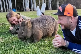 Experience the Ultimate Wild Wombat Kangaroo Tour with Perfect Day Sydney