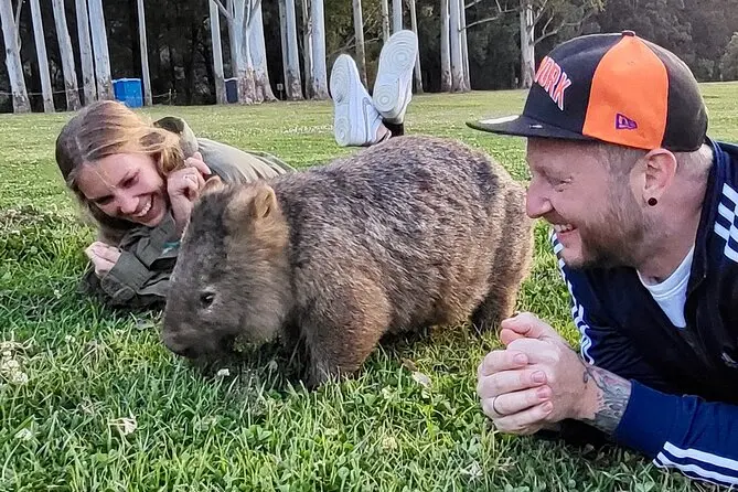 Experience the Ultimate Wild Wombat Kangaroo Tour with Perfect Day Sydney