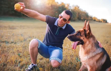 How to Raise an Intelligent, High-Energy Dog Without Feeling Overwhelmed