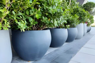 Transform Your Garden with Stylish Large Plant Pots for Every Space