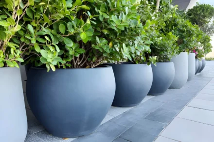 Transform Your Garden with Stylish Large Plant Pots for Every Space