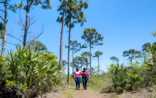 Yun Cao: Exploring the Best Hiking Trails in Florida