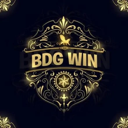 BDG Game: Tips for a Better Gaming Experience