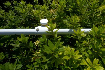 How to Measure Garden Water Usage and Improve Outdoor Irrigation Efficiency