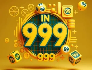 IN999: A Simple Guide for New Users