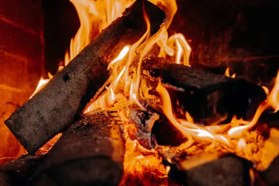 Top Tips for Choosing Quality Firewood to Warm Your Home