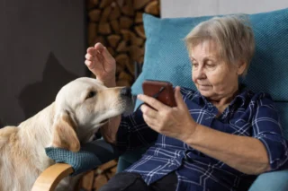 How Orthopaedic Care Helps Senior Dogs Stay Mobile
