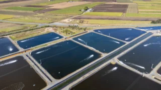 Innovative Water Treatment Solutions Transforming Queensland Communities
