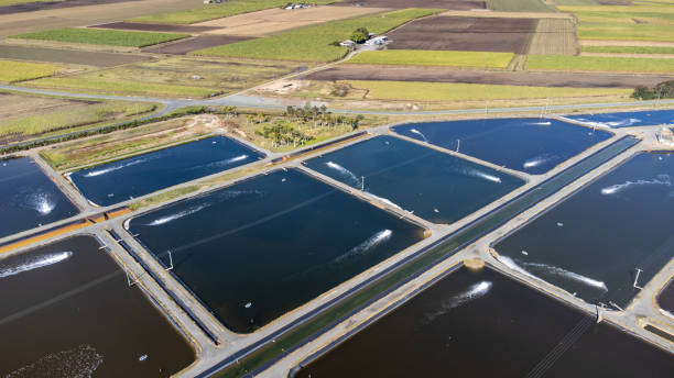 Innovative Water Treatment Solutions Transforming Queensland Communities