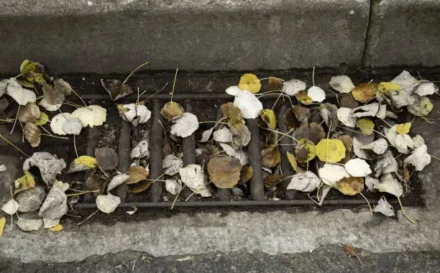 Stormwater Drains: Why They Block Before Winter